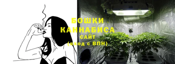 шишки Армянск