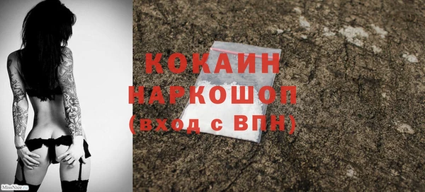 шишки Армянск