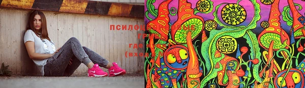 герыч Арсеньев