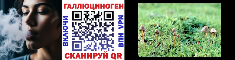Псилоцибиновые грибы мицелий  Нефтегорск 